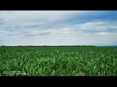 έξυπνος ηλεκτρικός γραμμικός ενεργοποιητής